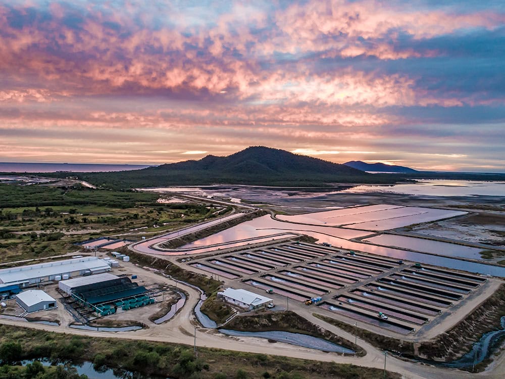 Sustainability of Our Barramundi Farms