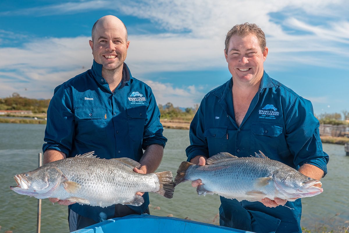 Australia’s Most Iconic Fish